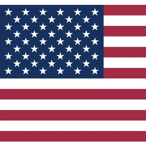 Аккаунт США, Вирт/Физ номер